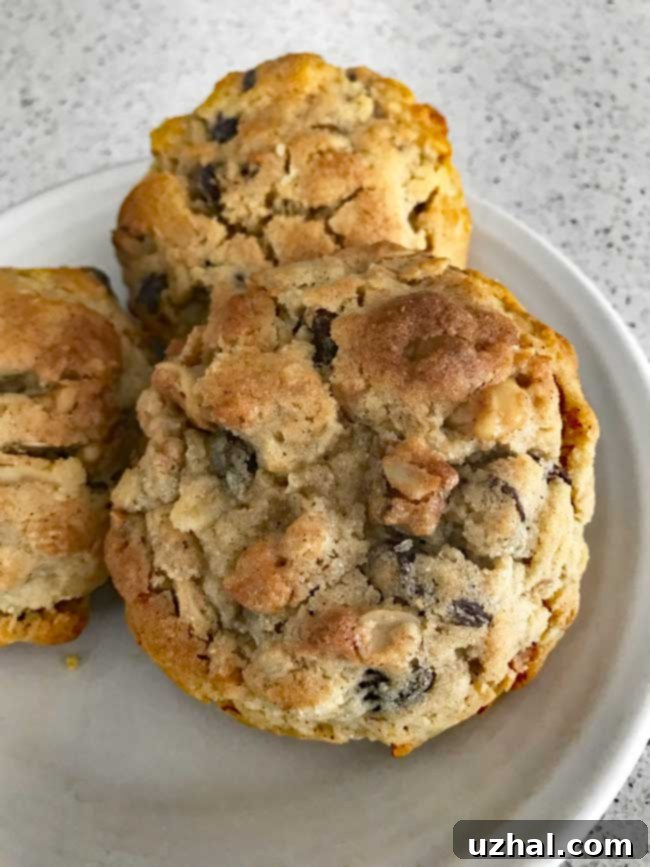 A trio of delicious roasted flour giant oatmeal cookies, showcasing their chewy texture and homemade appeal.