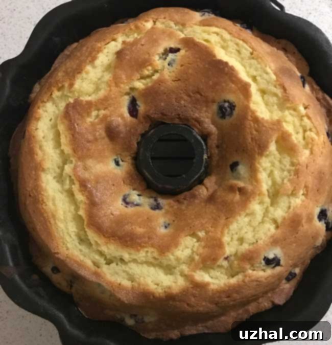 slice of blueberry lime pound cake showing moist interior and blueberries