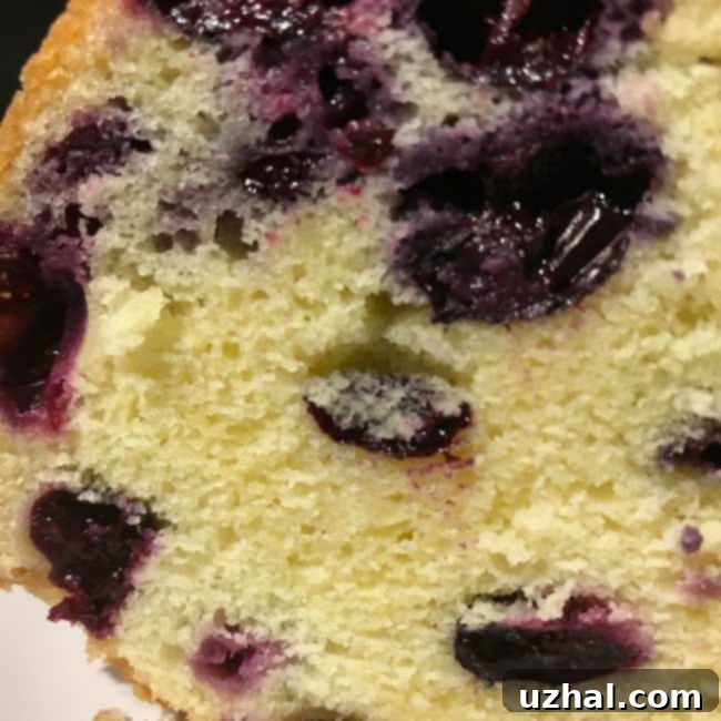 cross-section of blueberry lime pound cake slice