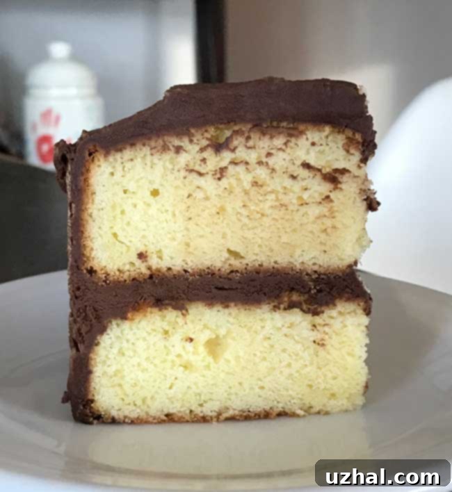 Six Inch Yellow Cake with Chocolate Frosting