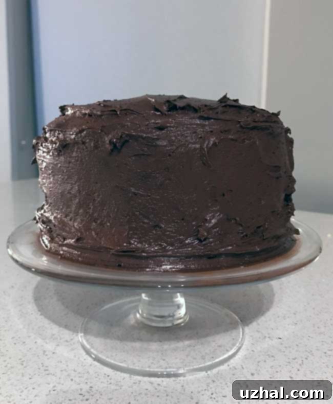 Six Inch Yellow Cake with Chocolate Frosting - before and after