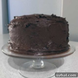 Six Inch Yellow Cake with Chocolate Frosting