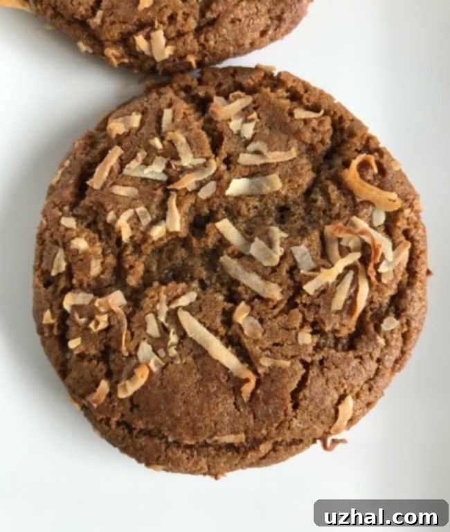 Molasses Coconut Chews, golden brown and chewy