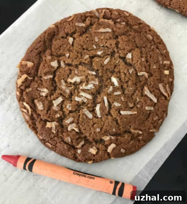 Chewy jumbo 5-inch molasses cookie with coconut, close-up