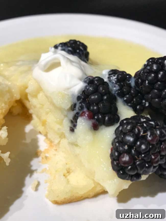 Baked Lemon Pudding Cakes