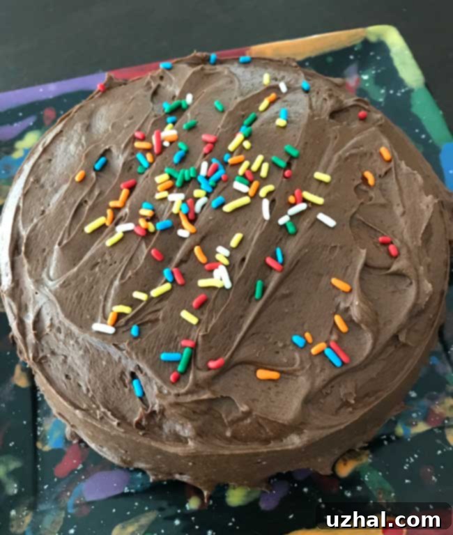 Speedy Six-Inch Instant Pot Chocolate Treat 2 A slice of moist Instant Pot Chocolate Cake adorned with colorful sprinkles, served on a modern square-shaped white plate, ready to be enjoyed.