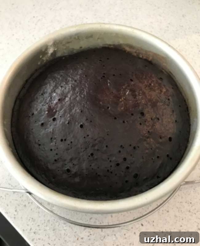 Speedy Six-Inch Instant Pot Chocolate Treat 3 A perfectly baked, rich Instant Pot Chocolate Cake cooling in a 6-inch round springform pan, showcasing its fluffy texture.