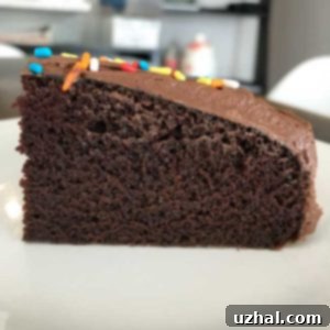 Speedy Six-Inch Instant Pot Chocolate Treat 5 A close-up of a delectable Six-Inch Instant Pot Chocolate Cake, beautifully frosted and ready to be served.