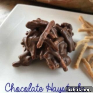 Close-up of a delicious Chocolate Haystack, a simple no-bake candy.