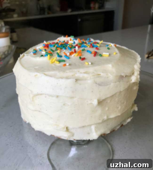 Close-up of a beautifully frosted Six inch White Cake, showcasing its smooth buttercream finish