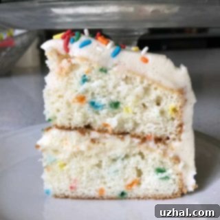 Finished Six Inch White Cake with frosting and sprinkles