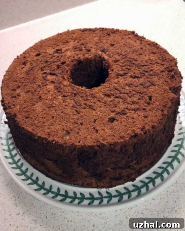 Deliciously light and airy Chocolate Angel Food Cake slice