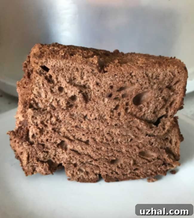 Close-up of baked Chocolate Angel Food Cake in a pan