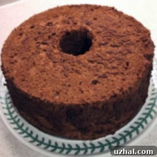 Chocolate Angel Food Cake on a stand