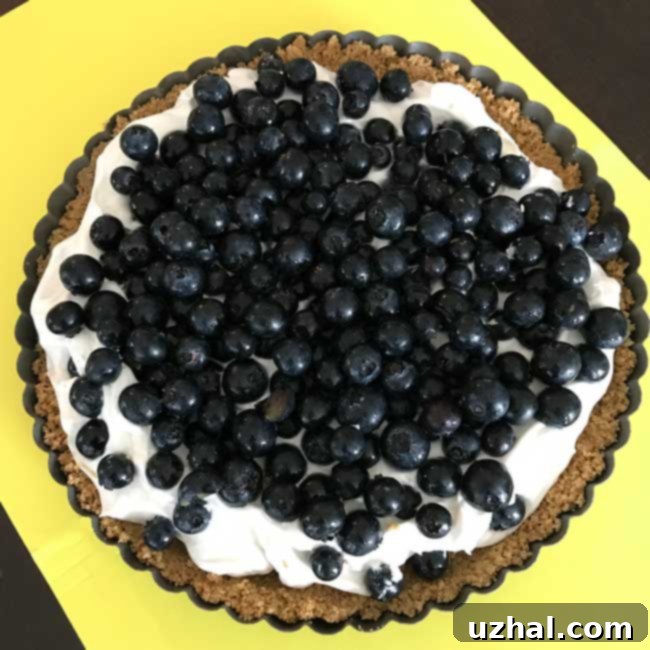 Mascarpone Blueberry Tart with fresh blueberries