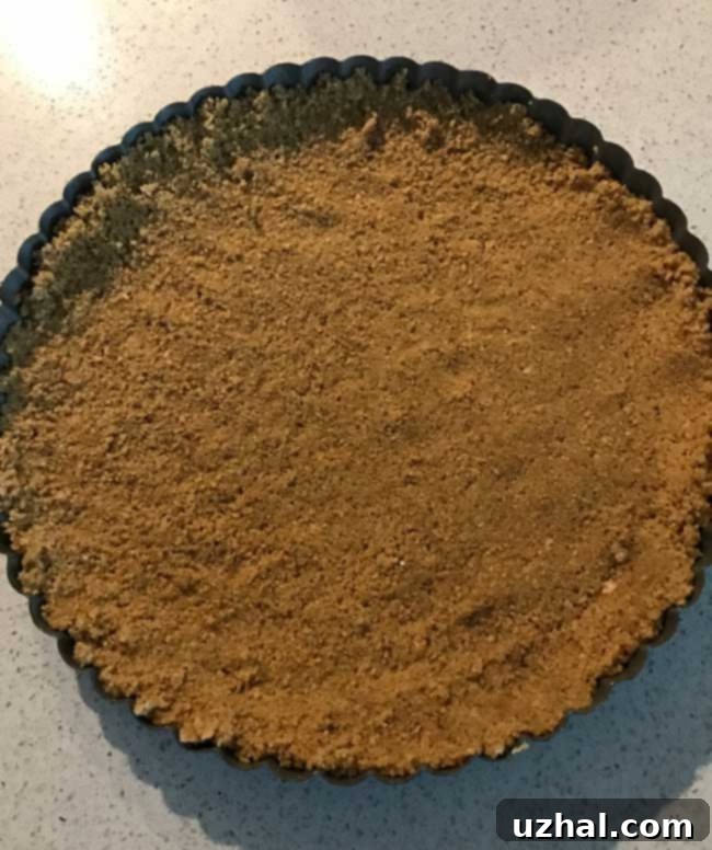 Homemade graham cracker crust for tart