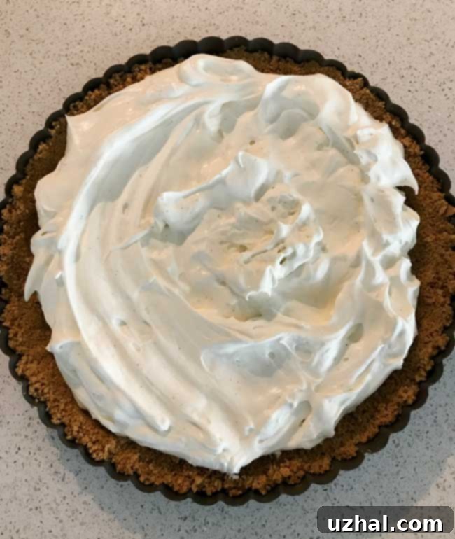 Creamy Mascarpone Blueberry Tart filling