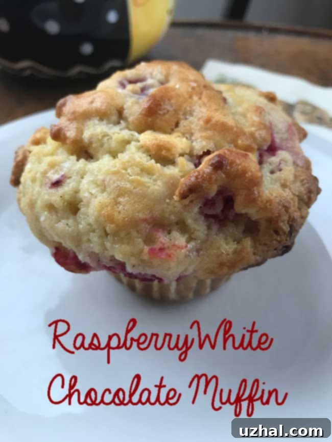 Freshly baked White Chocolate Raspberry Muffins with golden tops and visible fruit