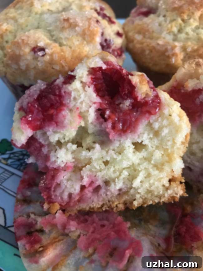 Close-up of the moist interior of a White Chocolate Raspberry Muffin