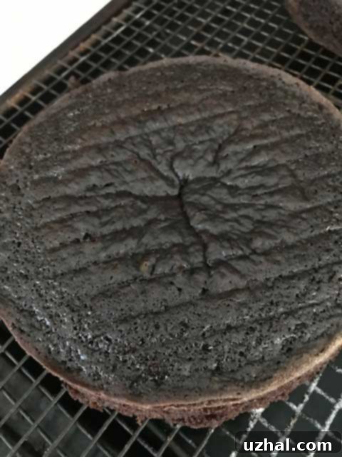 Chocolate Cake