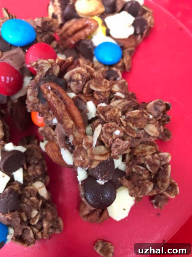 Nutty Chocolate Granola, a delicious homemade chocolate snack