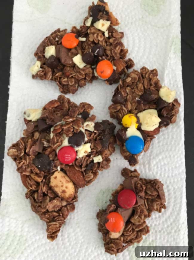 Close-up of cocoa powder granola, highlighting its rich chocolatey texture