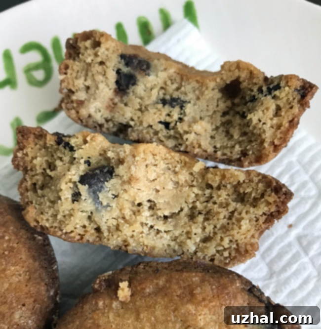 Baked Keto Muffin Tin Chocolate Chip Cookies cooling in a muffin tin