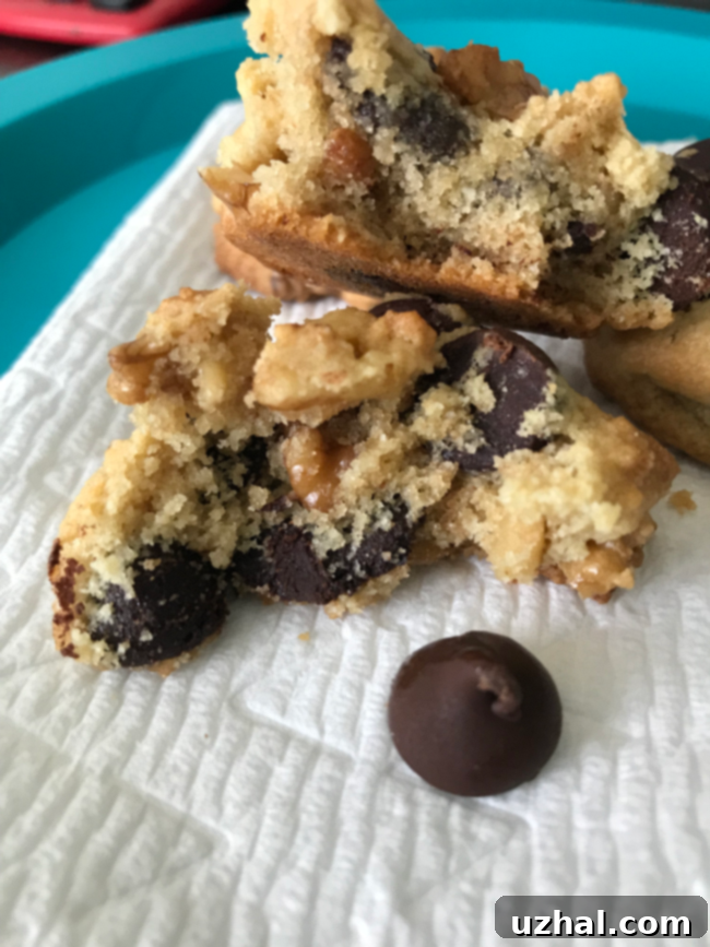 Trader Joe's Almond Flour Baker Josef's Chocolate Chip Cookies