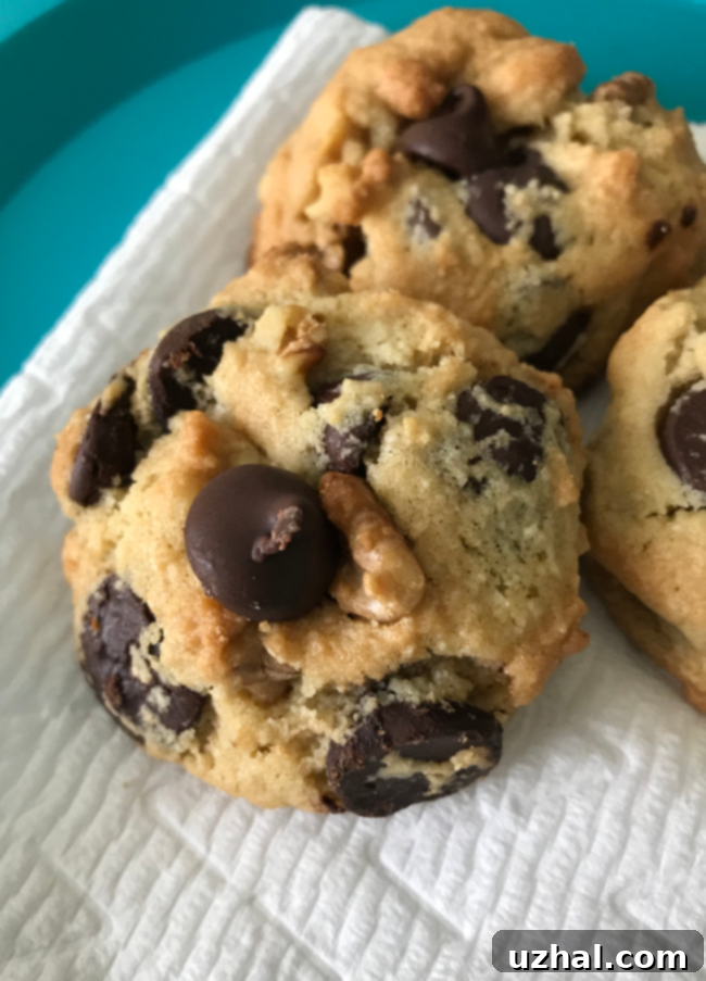 Trader Joe's Almond Flour Chocolate Chip