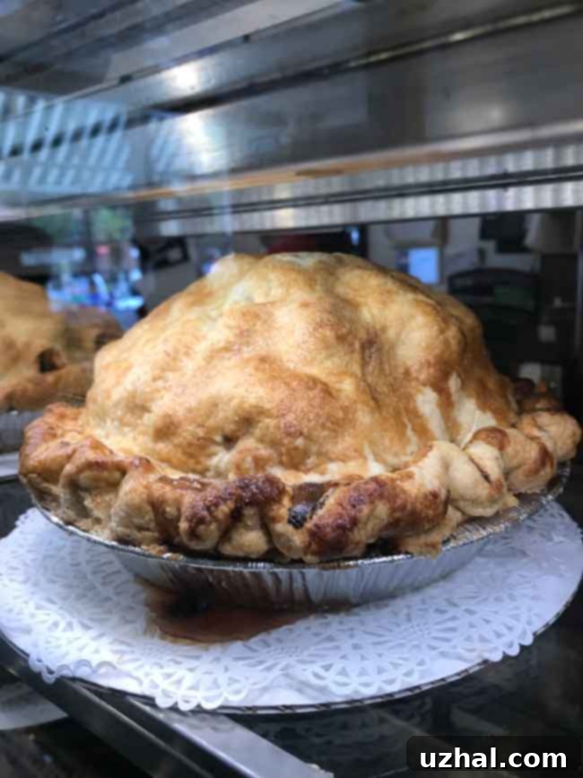 A selection of delicious, homemade favorite pies ready to be served, showcasing various crusts and fillings.