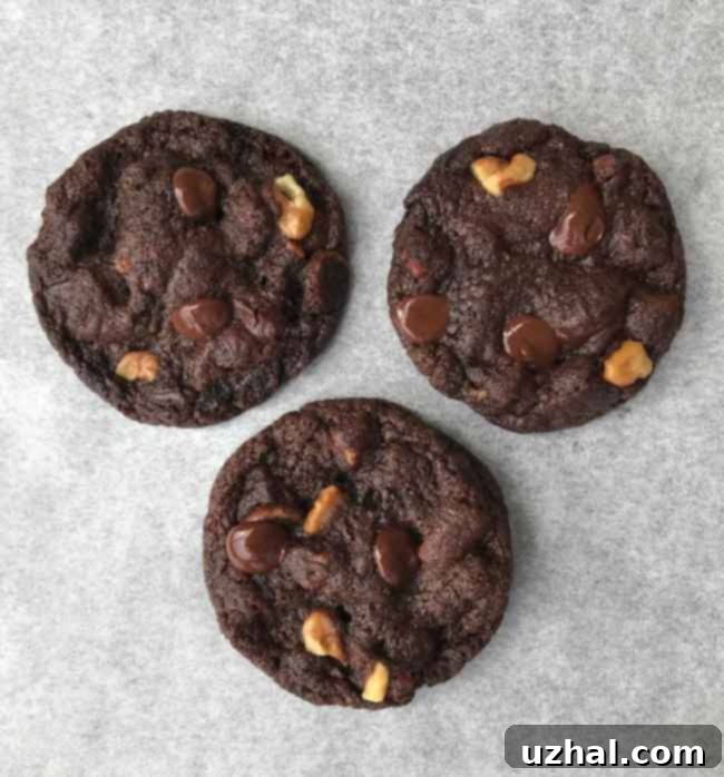 Vegan Double Chocolate Chip Cookies - Rich, Chewy, and Plant-Based