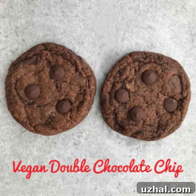 Vegan Double Chocolate Chip Cookies - Perfectly Baked Plant-Based Treat