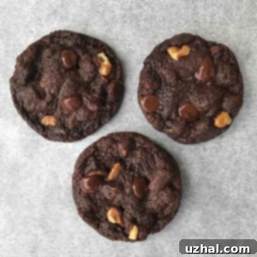 Vegan Double Chocolate Chip
