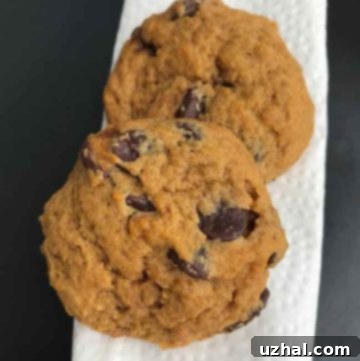 Vegan Pumpkin Chocolate Chip