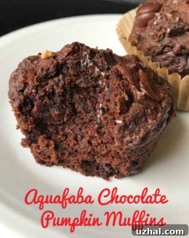 Rich Aquafaba Chocolate Pumpkin Muffins with rounded tops, a perfect vegan treat