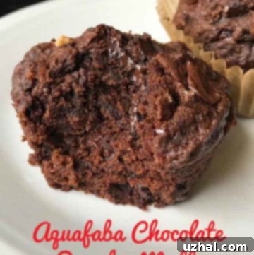 Easy Aquafaba Chocolate Pumpkin Muffins