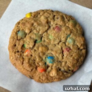 Gluten Free Oat Flour Monster Cookies, a delicious and easy to make treat.