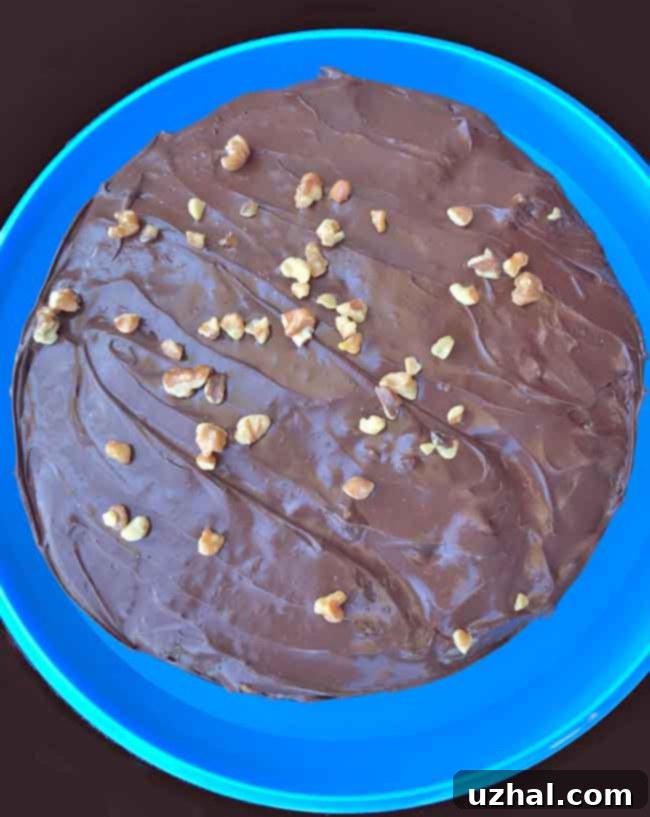 Date Chocolate Walnut Cake
