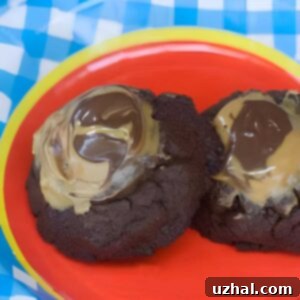 Chocolate Hazelnut Lava Cookies
