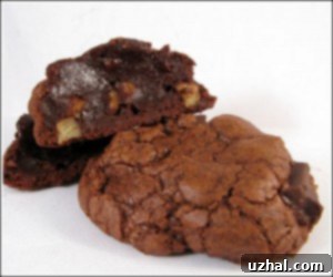 Double Chocolate Fudgy Cookies