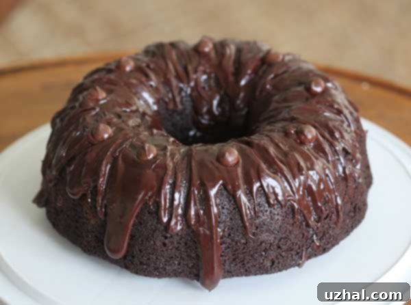 Never Ending Chocolate Cake - a moist, rich chocolate bundt cake.