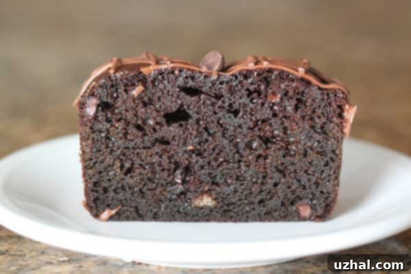 Close-up of a slice of Never Ending Chocolate Cake, showing its moist crumb.