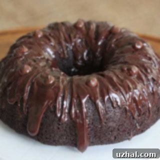 Mary K.'s Never Ending Chocolate Cake, a rich and moist bundt cake.