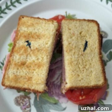 Dr. Michael's Yeasted Cornbread