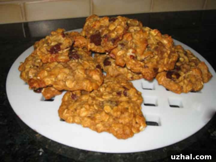 Vegan Oatmeal Cookies