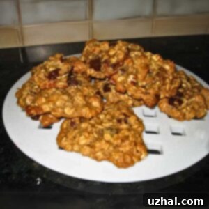 Basic Vegan Oatmeal Cookies recipe with banana instead of egg.