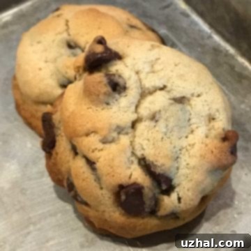Mouthwatering Margarine Box Chocolate Chip Cookies, golden and chewy, fresh from the oven.