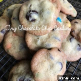 Bite-Sized Chocolate Chip Delights 3 Tiny Chocolate Chip Cookies