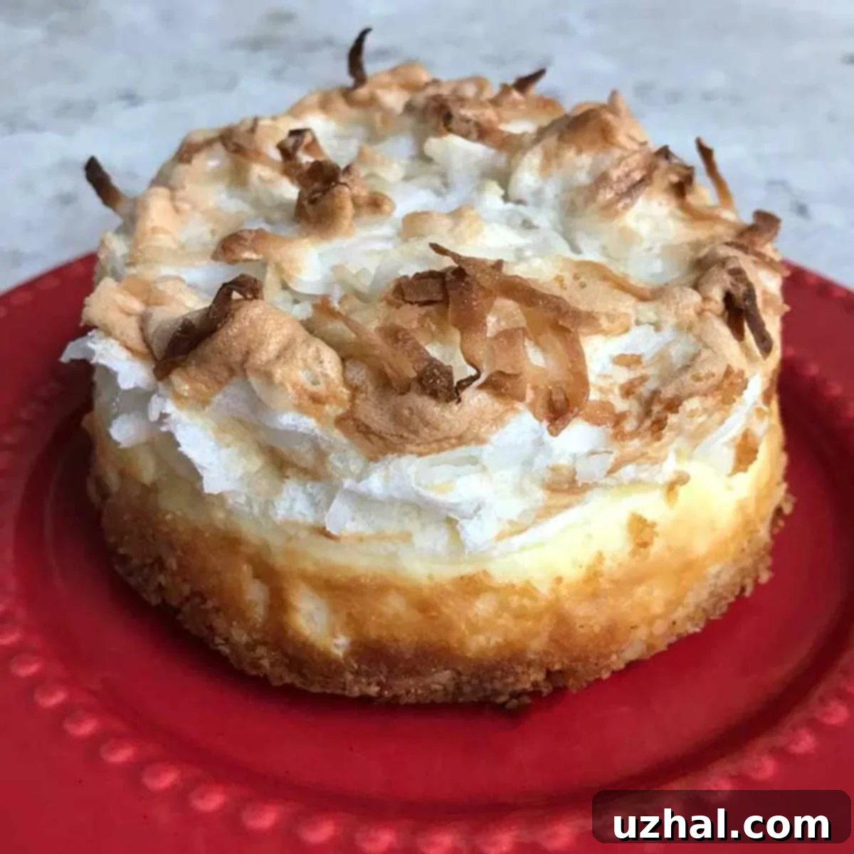 Better Home and Gardens Macaroon Cheesecake