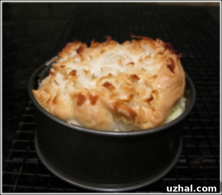 Miniature Coconut-Macaroon Cheesecake